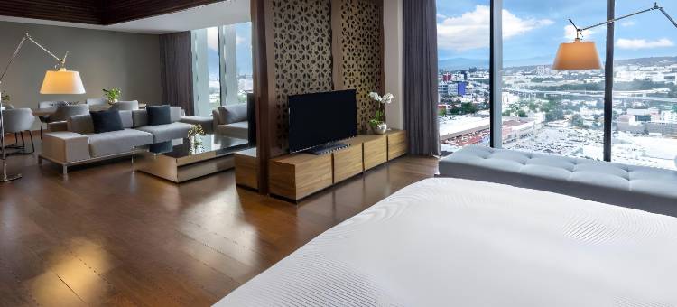 墨西哥斗牛美洲嘉年华酒店(Fiesta Americana Mexico Toreo)图片