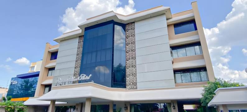 里雅迪皇宫酒店(Riyadi Palace Hotel)图片