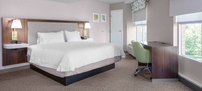 阿灵顿水晶城DCA希尔顿欢朋酒店及套房(Hampton Inn & Suites by Hilton Arlington Crystal City DCA)图片