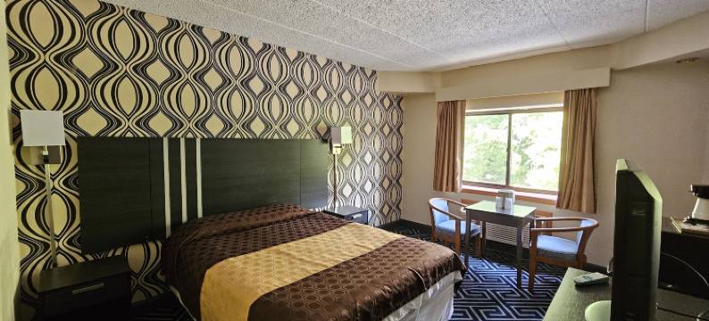 海市蜃楼汽车旅馆(La Mirage Motor Inn)图片