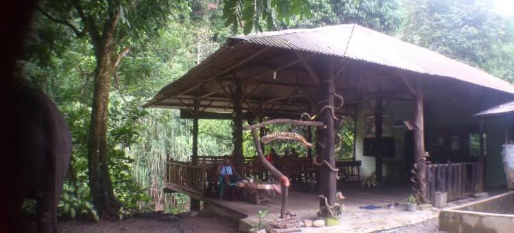 唐卡汉绿色小屋(Green Lodge Tangkahan)图片