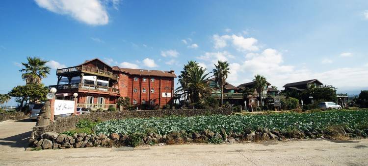 eL罗曼旅馆(El Roman Pension)图片