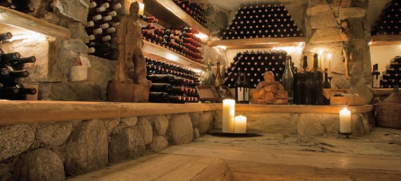 媞浦斯酒店(Hotel Tipotsch)图片