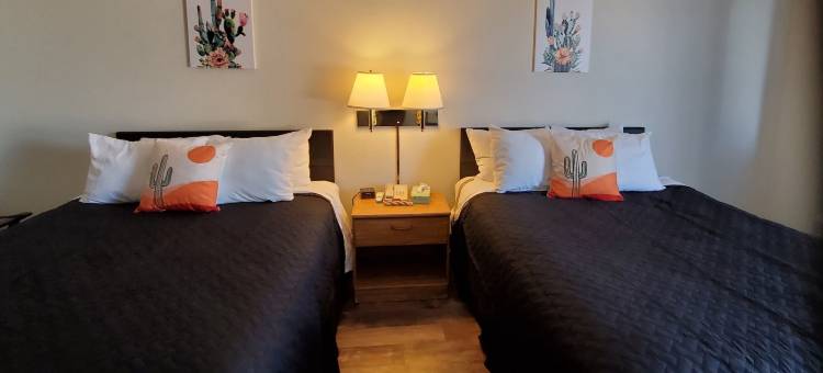 仙人掌旅馆套房(Cactus Inn and Suites)图片