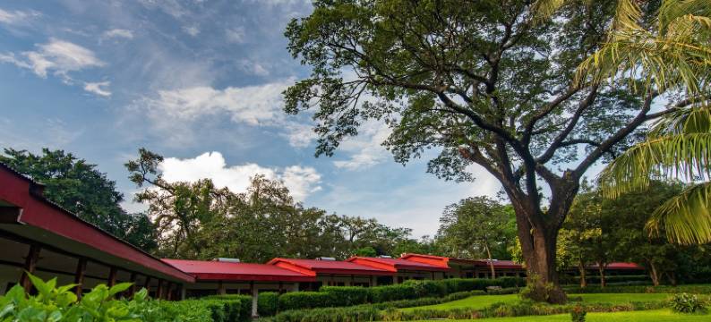 瓜齐佩林庄园火山牧场农场酒店及温泉(Hacienda Guachipelin Volcano Ranch Hotel & Hot Springs)图片