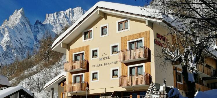 白色山谷酒店(Hotel Vallée Blanche Courmayeur)图片