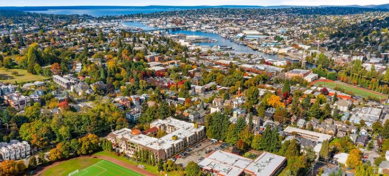 尤达的沼泽套房(Yoda's Swamp Suite)图片