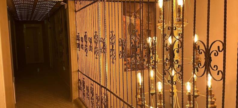 塔山酒店(Gaziantep Tashan Hotel)图片