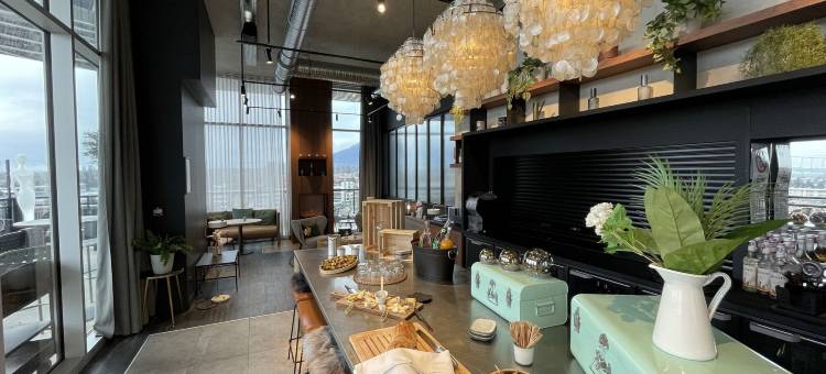 诺富特阿纳马斯中心日内瓦港酒店(Novotel Annemasse Centre - Porte de Genève)图片