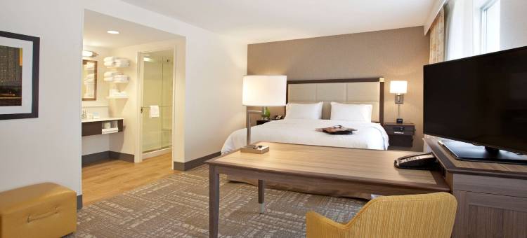 欢朋宾馆及套房酒店 - 明尼阿波利斯/市中心(Hampton Inn & Suites Minneapolis/Downtown)图片
