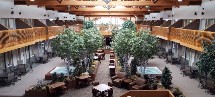 法戈卡蒙套房酒店(C'Mon Inn & Suites Fargo)图片