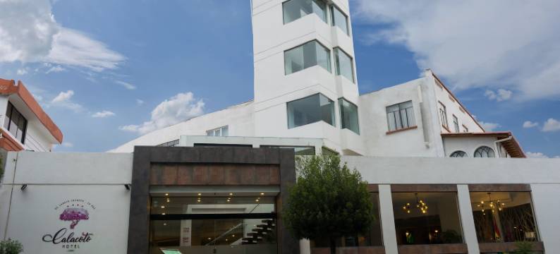 卡拉科托酒店(Hotel Calacoto)图片