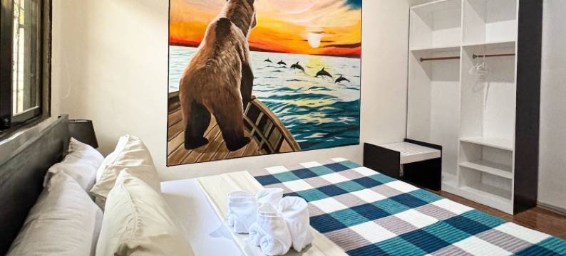 疯狂熊青年旅馆(Crazy Bears Hostel)图片