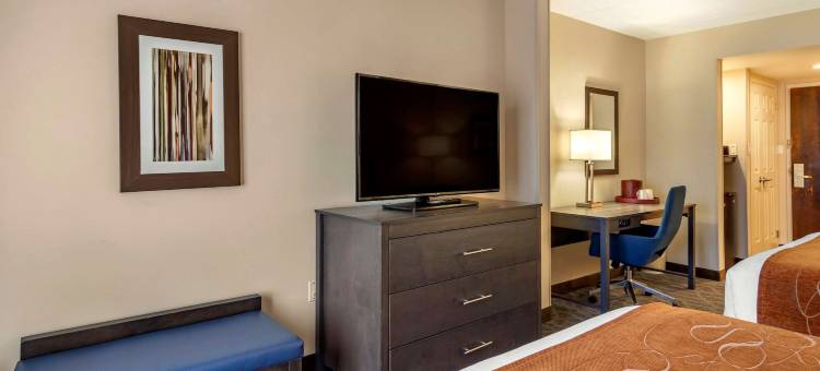 舒适套房酒店(Comfort Suites Alpharetta/Roswell - Atlanta Area)图片