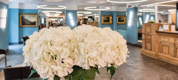 康科德酒店(Hotel Concord)图片