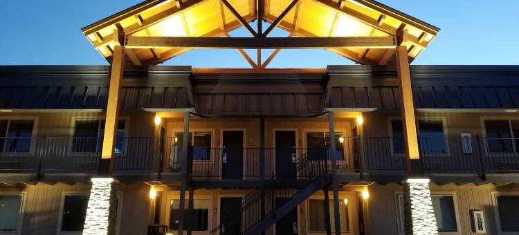 Y 酒店(The Hotel Y)图片