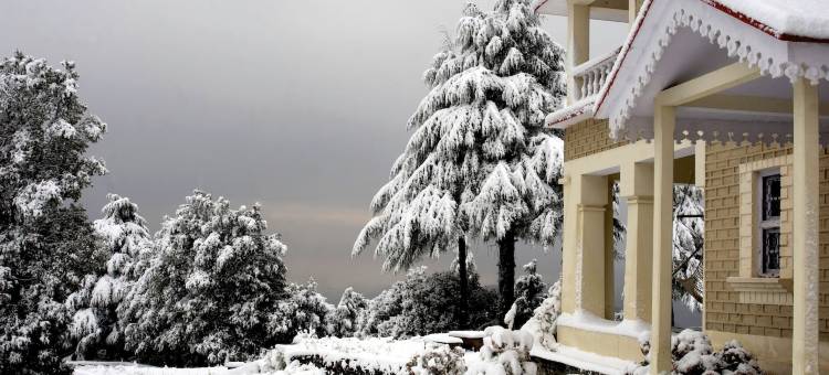 宾萨尔野生动物保护区生命之树大橡树庄园酒店(Tree of Life Grand Oak Manor Binsar)图片