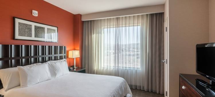 帕姆代尔希尔顿安泊套房酒店(Embassy Suites by Hilton Palmdale)图片