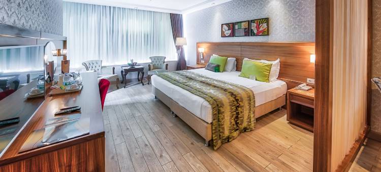 阿塔克斯克集团酒店(Atakosk Group Hotels)图片