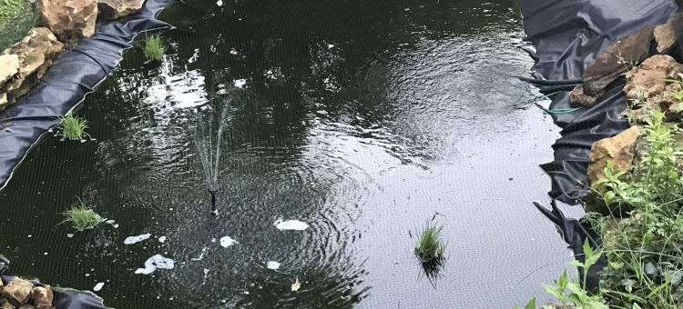 普兰托斯瑟薇洛酒店(Les Plantous de Severo)图片