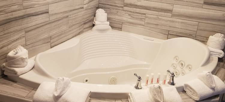 明尼阿波利斯黄金谷华美达酒店(Ramada by Wyndham Minneapolis Golden Valley)图片