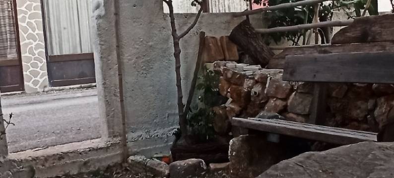 温迪之家酒店(Windy Place)图片