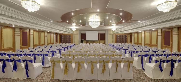 浦那荣耀酒店(Pride Hotel Pune)图片