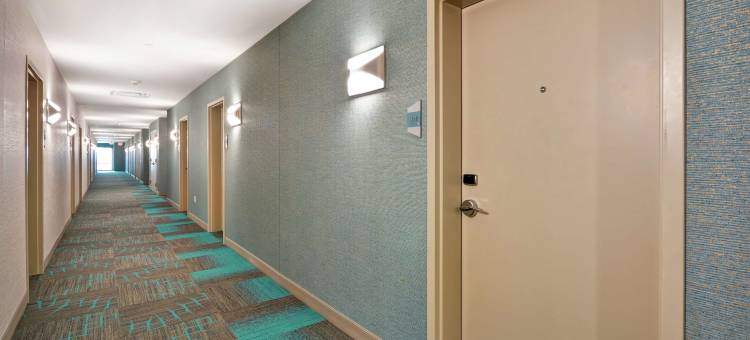 希尔顿旗下Home2 Suites-购物中心(Home2 Suites by Hilton Houston Near the Galleria)图片