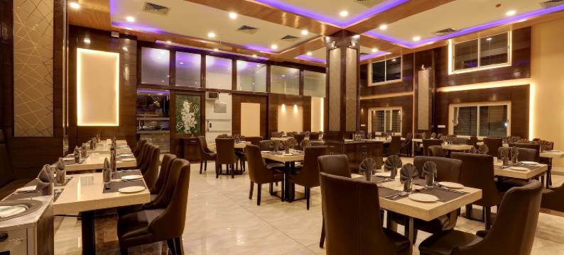 里约子午线酒店(Rio Meridian Hotel)图片