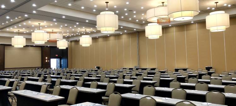 芝加哥内帕维希尔顿安泊酒店(Embassy Suites by Hilton Chicago Naperville)图片
