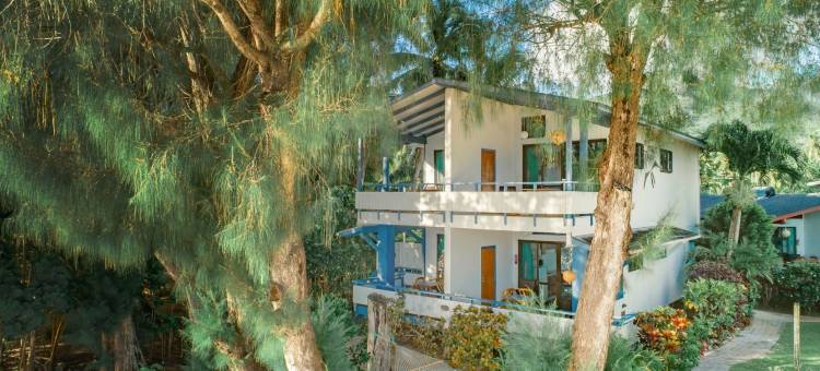 Aroa海滩度假村(Aroa Beachside Resort)图片