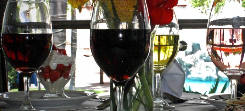 大广场酒店及会议中心(Hotel Gran Plaza & Convention Center)图片