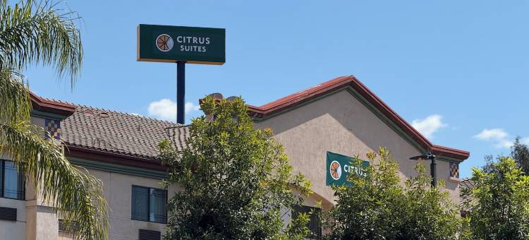 柑橘套房雷德兰兹洛马琳达酒店(Citrus Suites Redlands Loma Linda Hotel)图片