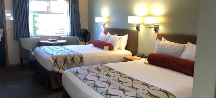 Super 8 by Wyndham Florence or图片