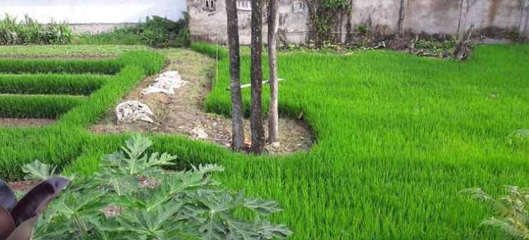 BM Residence Hotel图片