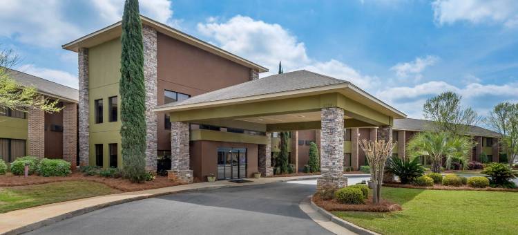 华纳罗宾斯-罗宾斯空军基地地区舒适酒店(Comfort Inn Warner Robins - Robins Air Force Base Area)图片