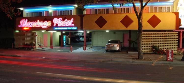 佛朗明哥酒店(The Flamingo Motel San Jose)图片
