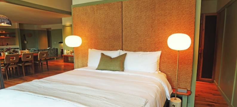 阿尔伯特酒店(Albert Hotel)图片