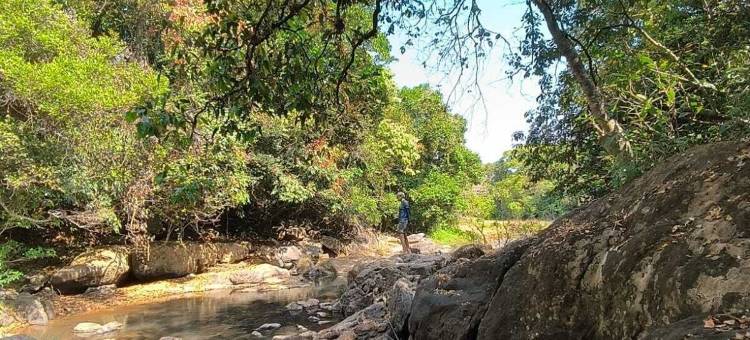 卡蒂卡杜(KaatiKaadu)图片