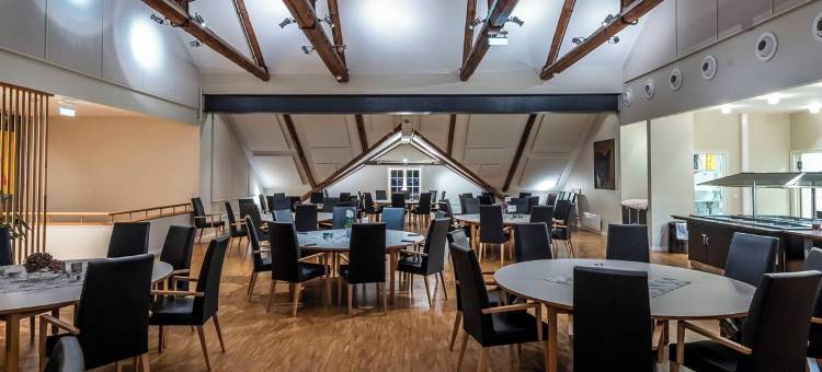 博雷高德庄园 - 挪威经典酒店集团(Borregard Hovedgard - by Classic Norway Hotels)图片