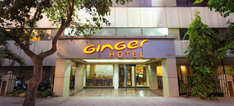 塞恩精吉尔酒店(Ginger Thane)图片