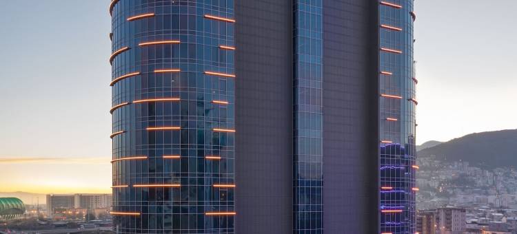 布尔萨喜来登酒店(Sheraton Bursa Hotel)图片