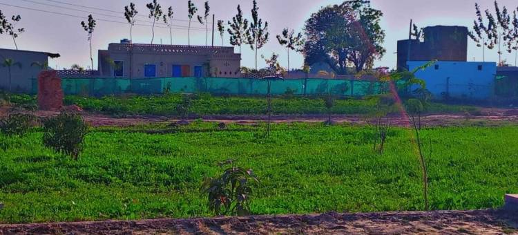 奥希亚纳农场(oshiana farm)图片