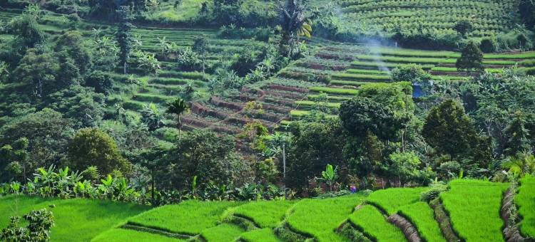 曼南格尔农场住宿(Farmstay Manangel)图片