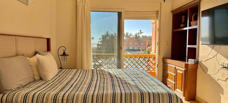 海星(Estrella de Mar)图片