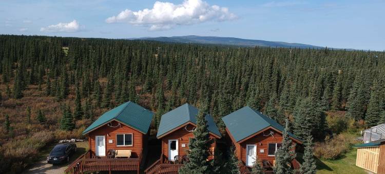 阿拉斯加云杉小屋酒店(Denali's Alaskan Spruce Cabins)图片