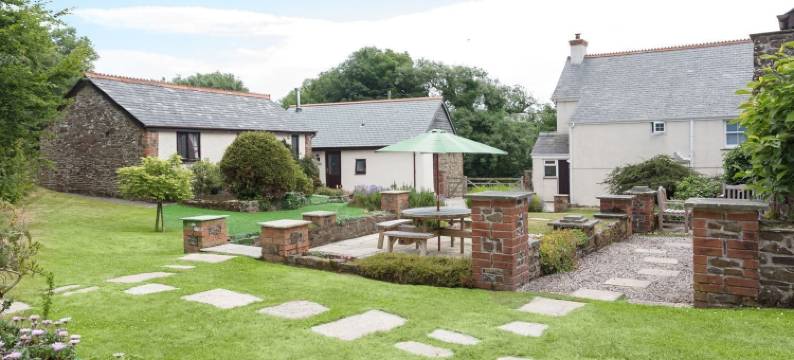 鹡鸰(Wagtail)图片