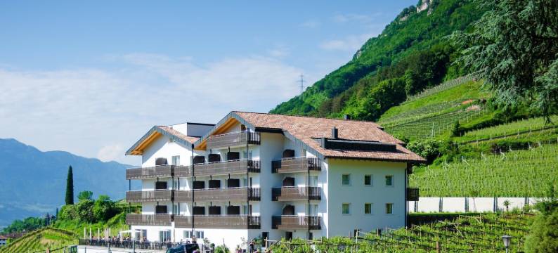 威努斯酒店(Vineus Tramin)图片