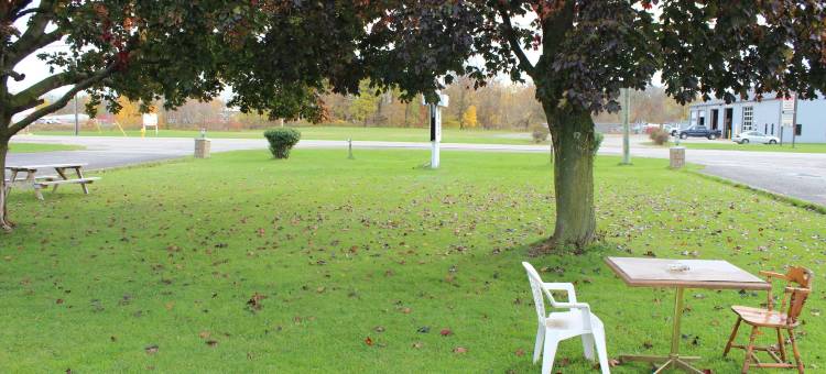 克罗尼尔汽车旅馆(Colonial Motel)图片