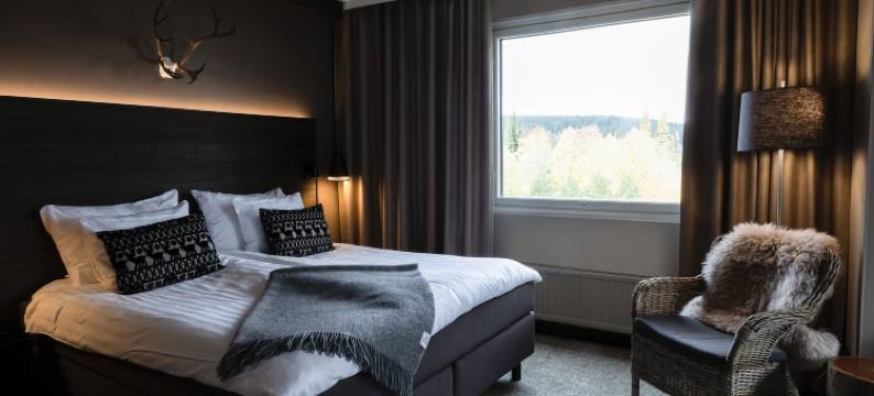 库奥皮欧拉普兰酒店(Lapland Hotels Kuopio)图片